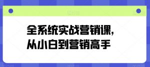 全系统实战营销课,从小白到营销高手-葛仙仙资源库