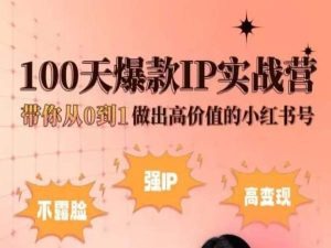 小红书100天爆款IP实战营，带你从0到1做出高价值的小红书号-葛仙仙资源库