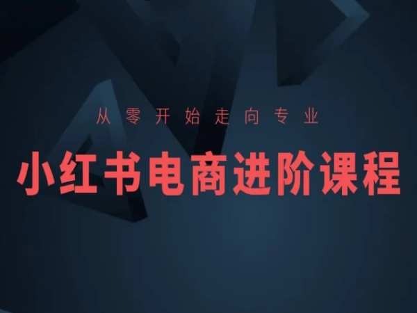 从零开始走向专业，小红书电商进阶课程-葛仙仙资源库
