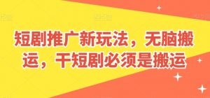 短剧推广新玩法，无脑搬运，干短剧必须是搬运【揭秘】-葛仙仙资源库
