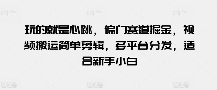 玩的就是心跳，偏门赛道掘金，视频搬运简单剪辑，多平台分发，适合新手小白【揭秘】-葛仙仙资源库