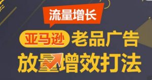 亚马逊流量增长-老品广告放量增效打法,循序渐进,打造更多TOP listing-葛仙仙资源库