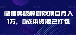 微信卖破解游戏项目月入1万，0成本资源已打包【揭秘】-葛仙仙资源库