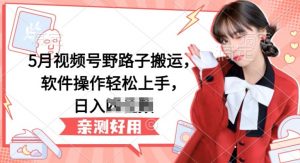 5月视频号野路子搬运，软件操作轻松上手，日入三位数【揭秘】-葛仙仙资源库