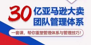 30亿亚马逊大卖团队管理体系,一套课,帮你重塑管理体系与管理技巧-葛仙仙资源库