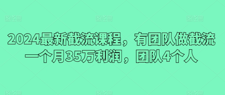 2024最新截流课程，有团队做截流一个月35万利润，团队4个人-葛仙仙资源库