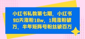 小红书私教第七期,小红书90天涨粉18w,1周涨粉破万,半年矩阵号粉丝破百万-葛仙仙资源库