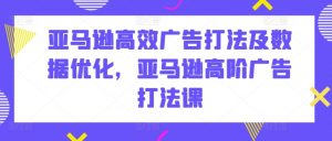 亚马逊高效广告打法及数据优化,亚马逊高阶广告打法课-葛仙仙资源库