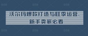 沃尔玛爆款打造与旺季运营,新手卖家必看-葛仙仙资源库