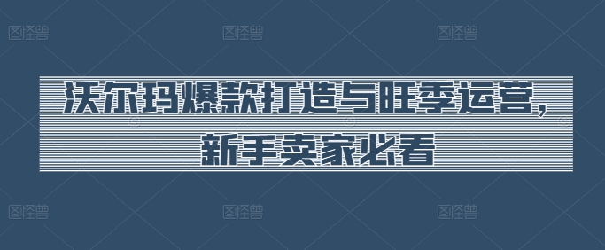 沃尔玛爆款打造与旺季运营，新手卖家必看-葛仙仙资源库