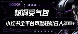 小红书等全平台树洞受气包项目,轻松日入一两张【揭秘】-葛仙仙资源库