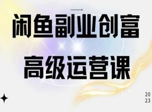 闲鱼电商运营高级课程,一部手机学会闲鱼开店赚钱-葛仙仙资源库