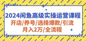2024闲鱼高级实操运营课程:开店/养号/选择爆款/引流/月入2万/全流程-葛仙仙资源库