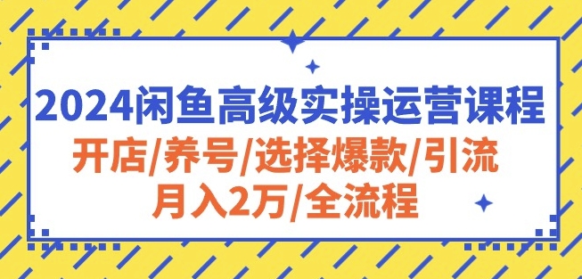 2024闲鱼高级实操运营课程：开店/养号/选择爆款/引流/月入2万/全流程-葛仙仙资源库