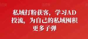 私域打粉获客,学习AD投流,为自己的私域囤积更多子弹-葛仙仙资源库