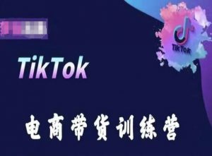TikTok电商带货训练营，跟随时代潮流，跨境掘金-葛仙仙资源库