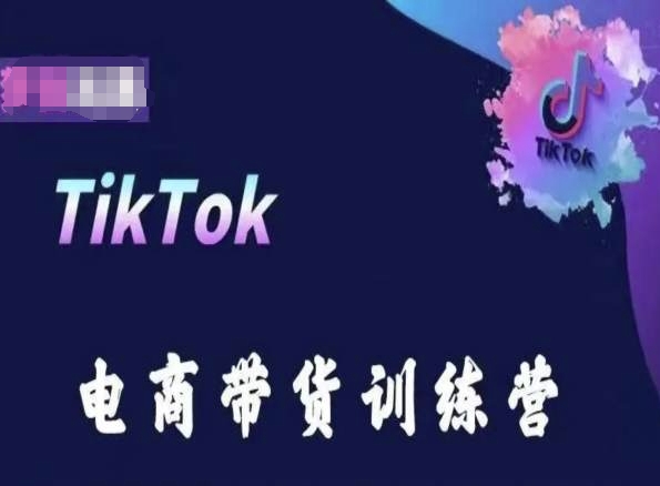 TikTok电商带货训练营，跟随时代潮流，跨境掘金-葛仙仙资源库