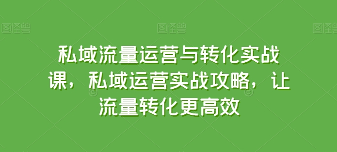 私域流量运营与转化实战课，私域运营实战攻略，让流量转化更高效-葛仙仙资源库