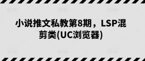 小说推文私教第8期，LSP混剪类(UC浏览器)-葛仙仙资源库
