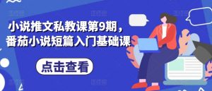 小说推文私教课第9期,番茄小说短篇入门基础课-葛仙仙资源库
