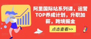 阿里国际站系列课,运营TOP养成计划,升职加薪,跨境掘金-葛仙仙资源库
