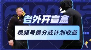 老外开盲盒视频，撸视频号分成计划收益，每天只需一小时，新手小白轻松上手【揭秘】-葛仙仙资源库