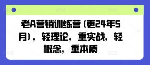 老A营销训练营(更24年5月),轻理论,重实战,轻概念,重本质-葛仙仙资源库