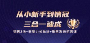 从小新手到销冠 三合一速成:销售3法+非暴力关单法+销售系统挖需课 (27节)-葛仙仙资源库