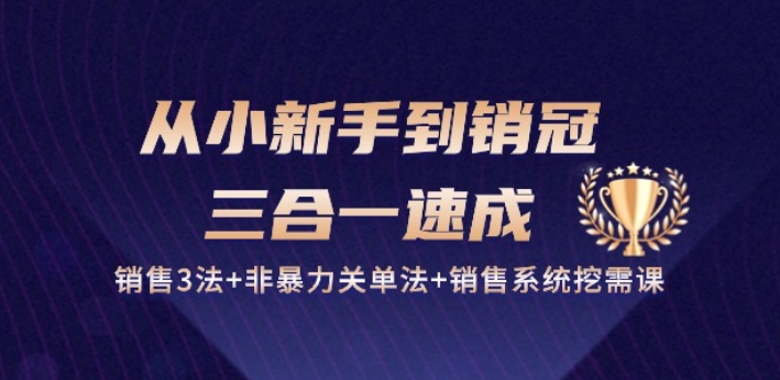从小新手到销冠 三合一速成：销售3法+非暴力关单法+销售系统挖需课 (27节)-葛仙仙资源库