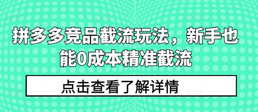 拼多多竞品截流玩法，新手也能0成本精准截流-葛仙仙资源库