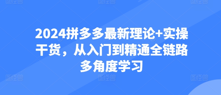 2024拼多多最新理论+实操干货，从入门到精通全链路多角度学习-葛仙仙资源库