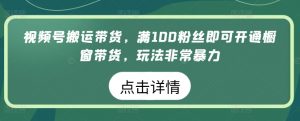 视频号搬运带货,满100粉丝即可开通橱窗带货,玩法非常暴力【揭秘】-葛仙仙资源库