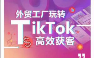 外贸工厂玩转TikTok高效获客,多种引流方式与账号定位技巧,拆解爆款短视频打造成功案例-葛仙仙资源库
