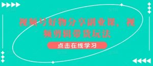 视频号好物分享副业课,视频剪辑带货玩法-葛仙仙资源库