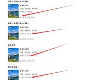 磁力聚星游戏副业陪跑训练营1.0,长期稳定项目,有人一周干了1K+-葛仙仙资源库