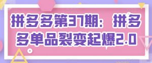 拼多多第37期:拼多多单品裂变起爆2.0-葛仙仙资源库