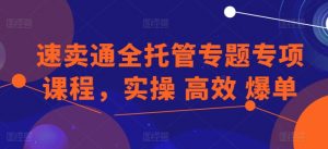 速卖通全托管专题专项课程,实操 高效 爆单-葛仙仙资源库