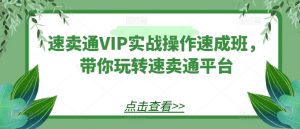 速卖通VIP实战操作速成班,带你玩转速卖通平台-葛仙仙资源库