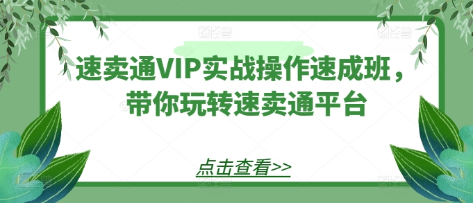 速卖通VIP实战操作速成班，带你玩转速卖通平台-葛仙仙资源库