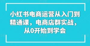 小红书电商运营从入门到精通课，电商店群实战，从0开始到学会-葛仙仙资源库