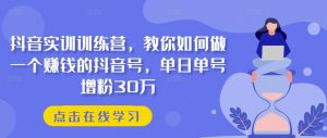 抖音实训训练营,教你如何做一个赚钱的抖音号,单日单号增粉30万-葛仙仙资源库