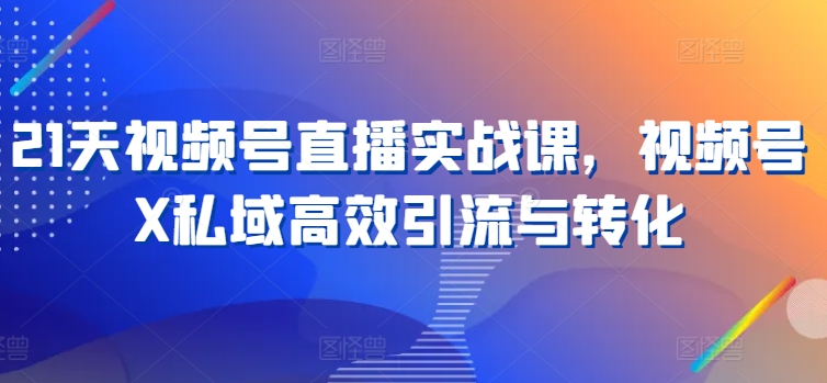 21天视频号直播实战课，视频号X私域高效引流与转化-葛仙仙资源库