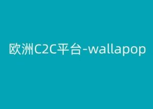 欧洲C2C平台-wallapop-kim跨境电商教程-葛仙仙资源库