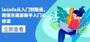 lazada从入门到精通,跨境东南亚新手入门必修课-葛仙仙资源库