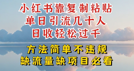 小红书靠复制粘贴单日引流几十人目收轻松过千，方法简单不违规【揭秘】-葛仙仙资源库