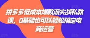 拼多多低成本爆款流实战私教课,0基础也可以轻松搞定电商运营-葛仙仙资源库