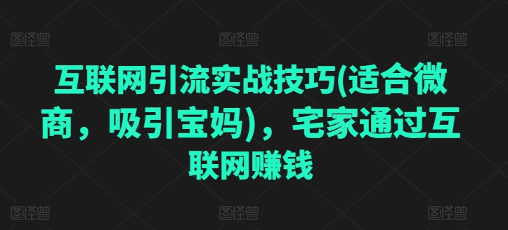 互联网引流实战技巧(适合微商，吸引宝妈)，宅家通过互联网赚钱-葛仙仙资源库