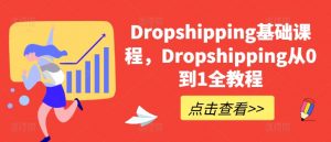 Dropshipping基础课程，Dropshipping从0到1全教程-葛仙仙资源库