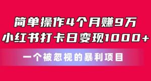 简单操作4个月赚9w,小红书打卡日变现1k,一个被忽视的暴力项目【揭秘】-葛仙仙资源库