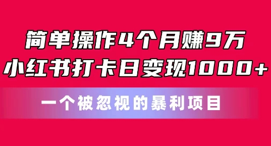 简单操作4个月赚9w，小红书打卡日变现1k，一个被忽视的暴力项目【揭秘】-葛仙仙资源库